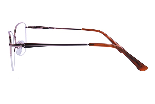 Trendy LE 8841 C3 54-17