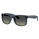rayban, RB 4165, vyrams, ovalus, plastmasinis