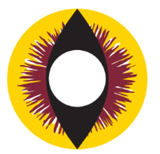Clearcolor Phantom Tiger's Eye (FN026)