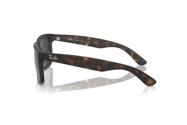 Rayban RB 4165 865/87 55-16