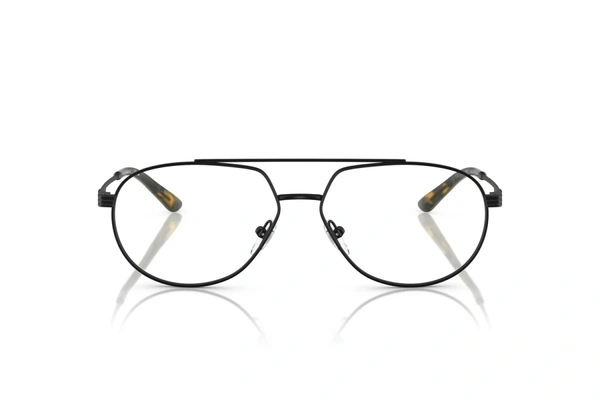 E.armani EA 1165 3001 56