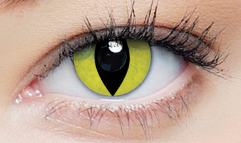 Clearcolor Phantom Yellow Cat (FN069N)