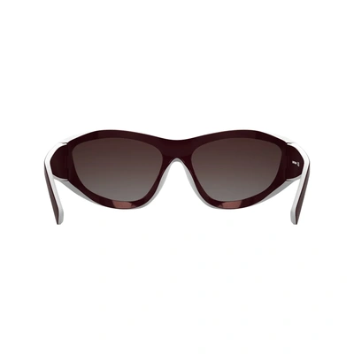 Longchamp LO 796S 608 66-17