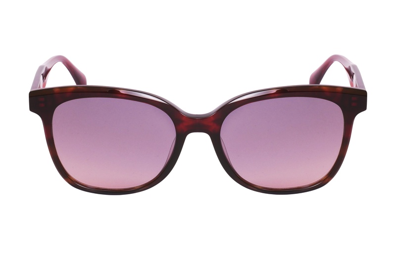 Vertice MZ 2010 C2 54-17