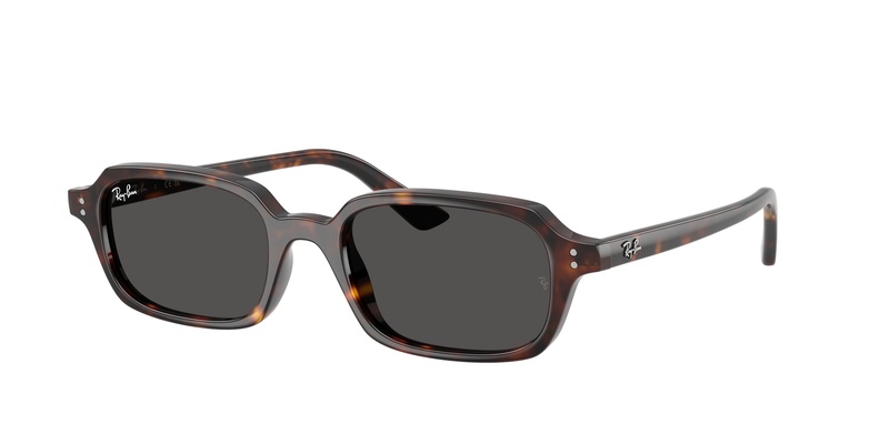 Rayban RB 4455 1359/87 52