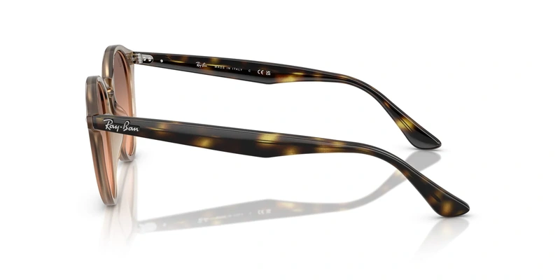 Rayban RB 2180 6788/46 51