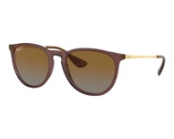 rayban, RB 4171, vyrams, ovalus, plastmasinis