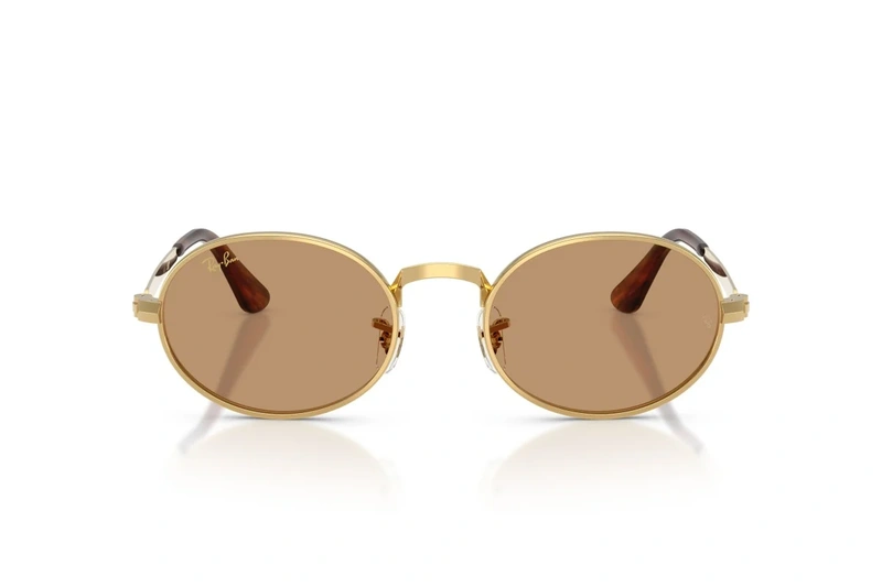 Rayban RB 3931 001/53 54-21