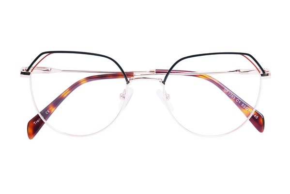 Trendy GF 1293 C1 53-19