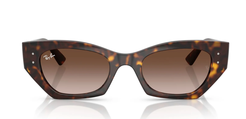 Rayban RB 4430 1359/13 52-22