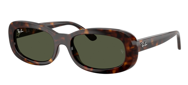 Rayban RB 2221 902/31 56