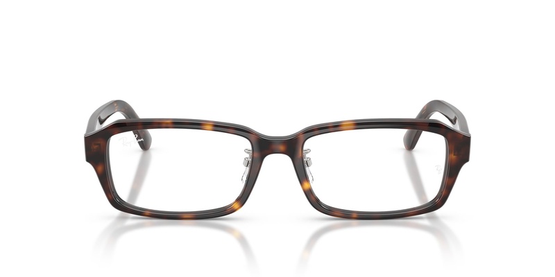Rayban RB 5458D 2012 54-17