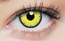 Clearcolor Phantom Angelic Yellow (FN005N)