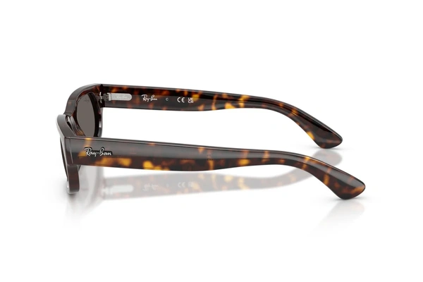 Rayban RB 2236 902/81 54-20