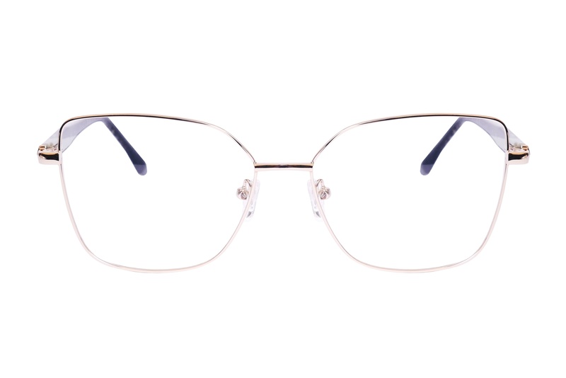 Icone D 3491 C6 54-15