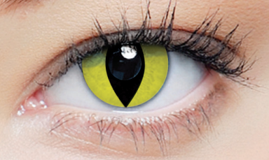 Clearcolor Phantom Yellow Cat (FN069N)