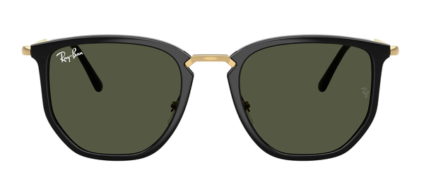 Rayban RB 4451 6306/31 53-20