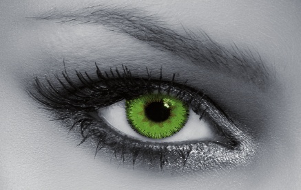 Trilogy Queen's (Dark Green)