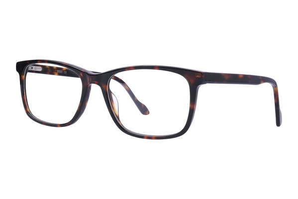 Diverso SP 236 C2 55-18