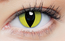 Clearcolor Phantom Yellow Cat (FN069N)