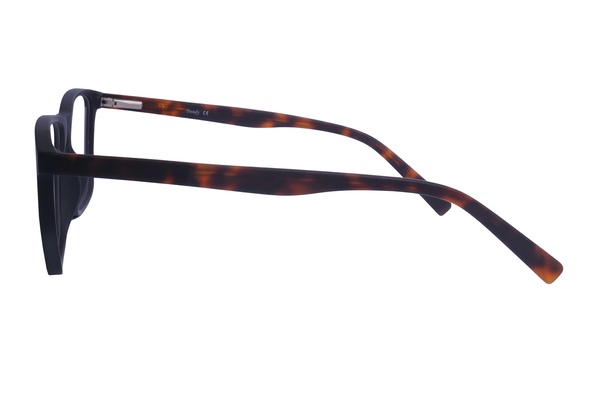 Trendy LS8106 C2 55-18