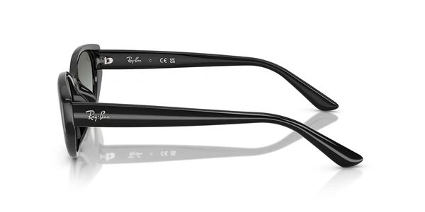 Rayban RB 4457D 6677/11 55-19
