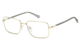 polaroid, PLD D582/G, vyrams, kvadratas, metalas