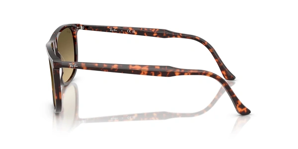 Rayban RB 2216 1429/0A 61-18