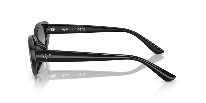 Rayban RB 4457D 6677/11 55-19