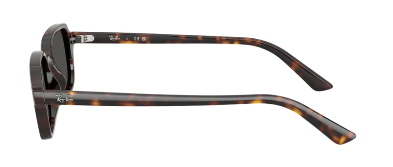 Rayban RB 4455 1359/87 52