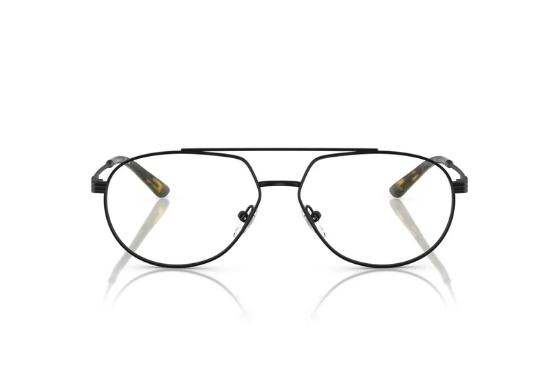 E.armani EA 1165 3001 56