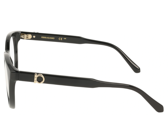 Ferragamo SF 3032E 001 51-20