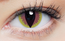 Clearcolor Phantom Tiger's Eye (FN026)