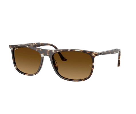 Rayban RB 2216 1429/0A 58-18