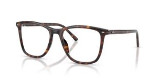 rayban, RB 5455, vyrams, stačiakampis, plastmasinis