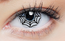 Clearcolor Phantom Spider Web (FN053N)