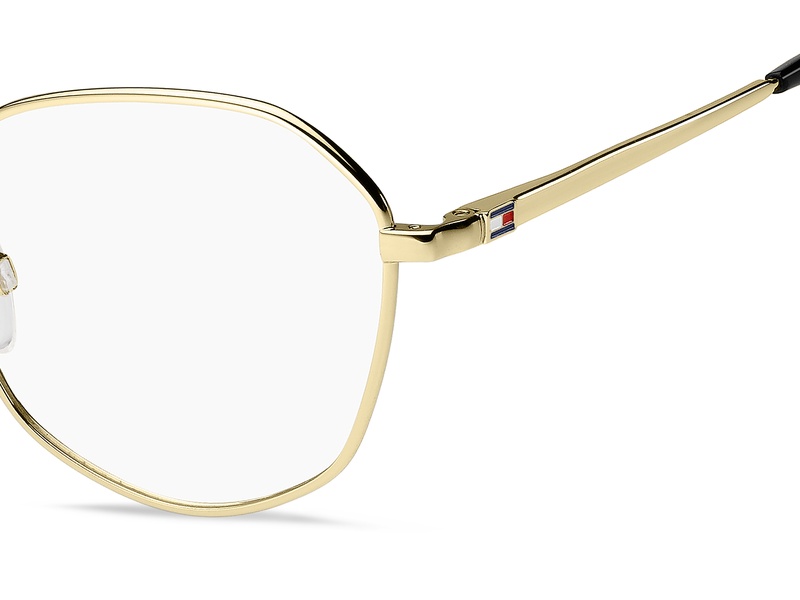 T.hilfiger TH 2221 J5G 52-19