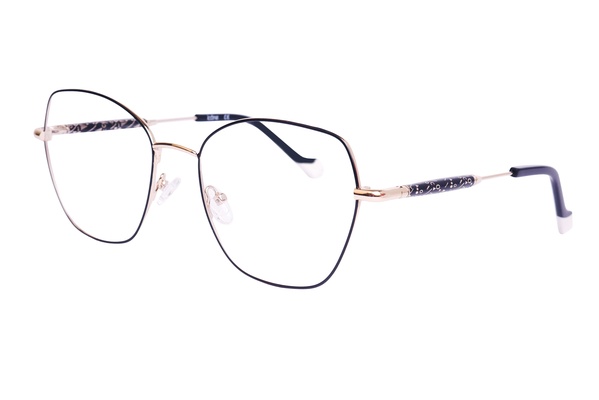 Icone D 3509 C1 56-19