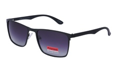 polarview, PV 500, men, square, metal