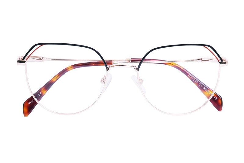 Trendy GF 1293 C1 53-19