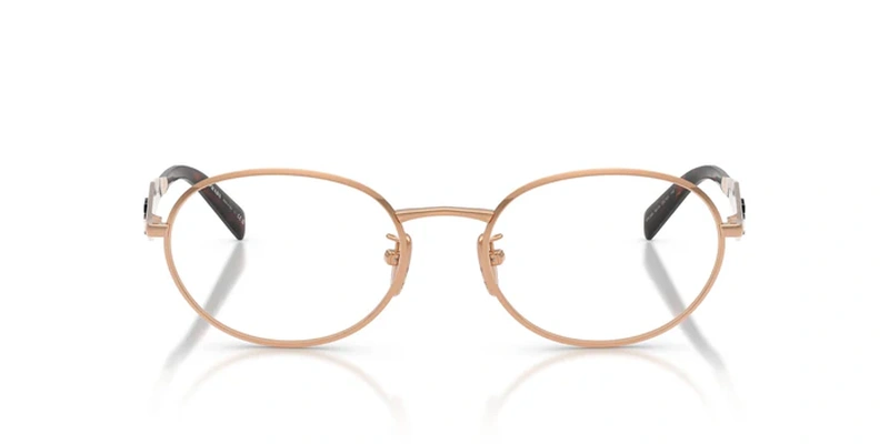 Prada VPR D53D 22L-1O1 54-19