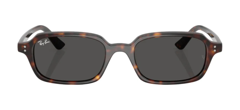 Rayban RB 4455 1359/87 52