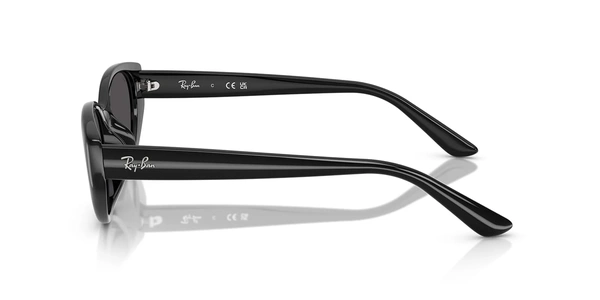 Rayban RB 4457D 6677/87 55-19