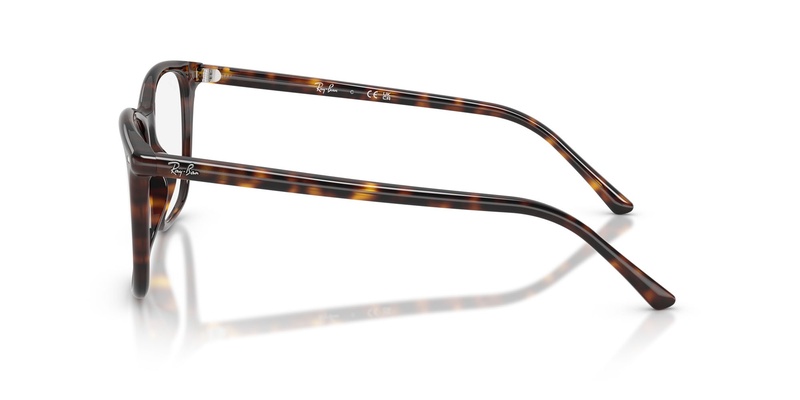 Rayban RB 5455 2012 54-17