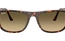 Rayban RB 2216 1429/0A 61-18