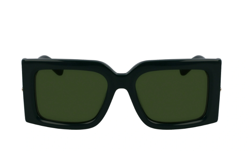 Ferragamo SF 2032S 302 55-19