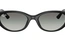 Rayban RB 4457D 6677/11 55-19