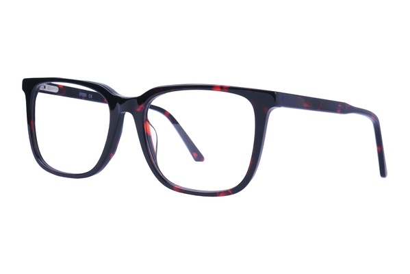 Diverso SP 234 C2 53-18