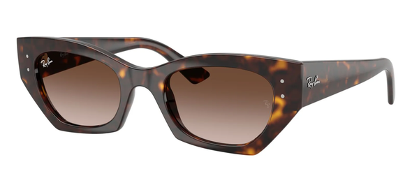 Rayban RB 4430 1359/13 52-22