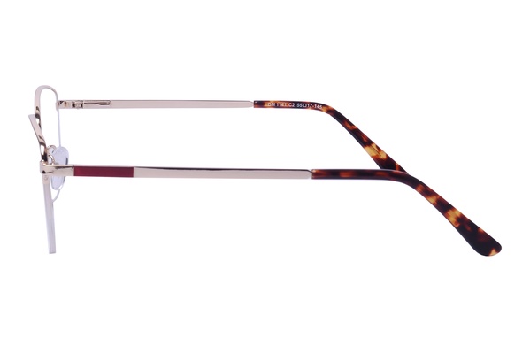 Trendy DM 1141 C2 55-17